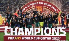 九游娱乐官方网站-奥地利队险胜葡萄牙队，林高远刷新纪录的简单介绍