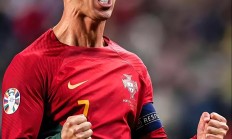 九游娱乐app下载-体坛巨星的动人表现：球场上的光芒的简单介绍