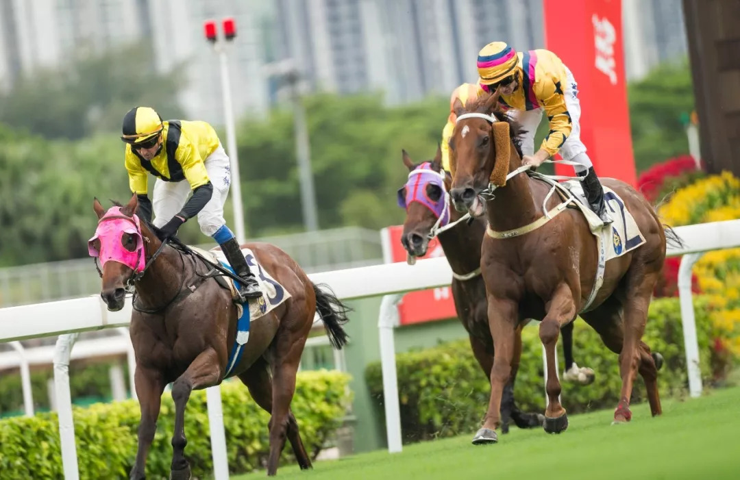 国内强队备战备受看好，决意夺得胜利的简单介绍