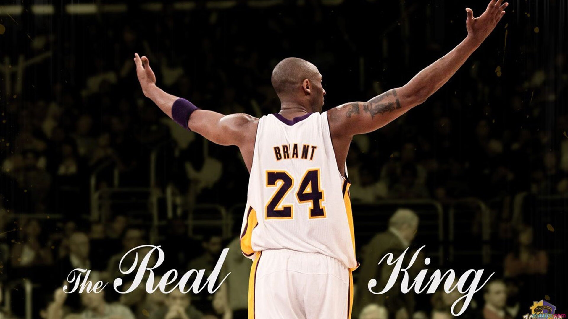 蓝黑之盾的觉醒,巴斯托尼于世界排名争夺战之夜,一锤定音